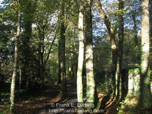 Coole Park, County Galway